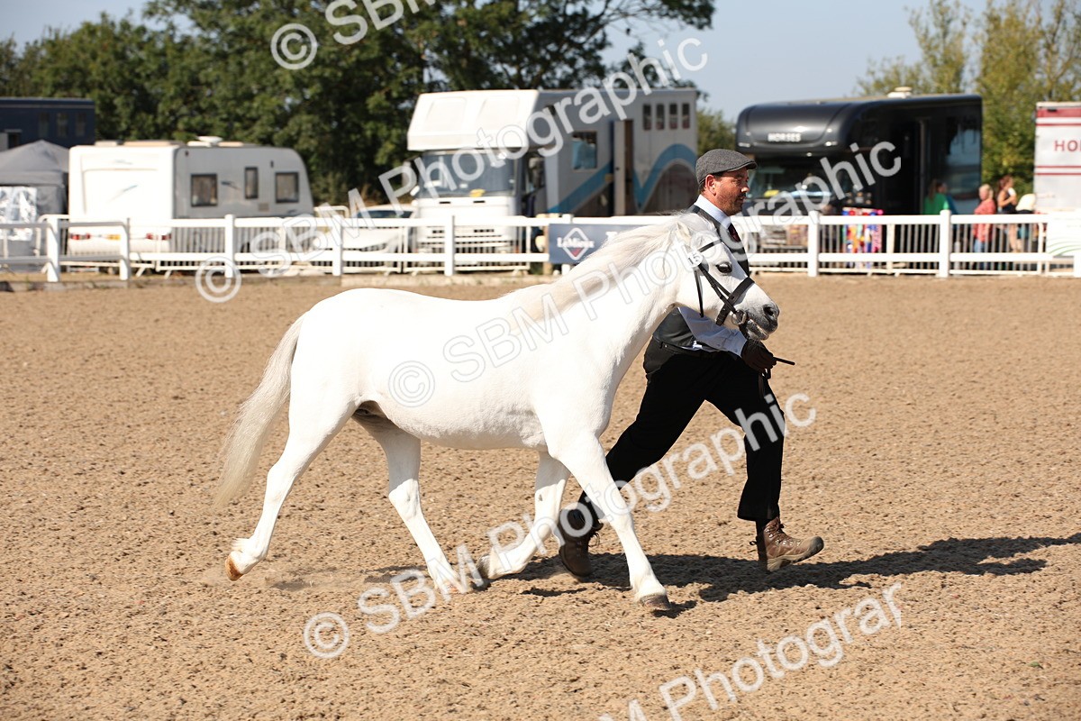 SBM_02683 - Class 16 IH M&M Wildcard