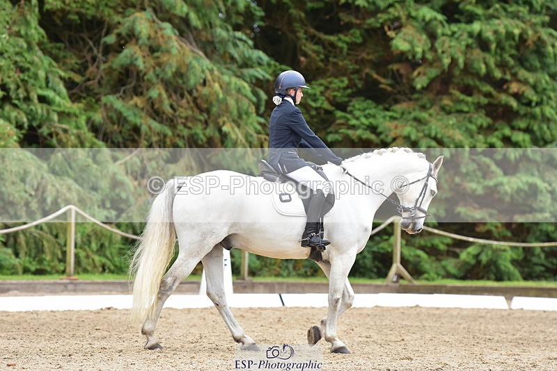 250719A-153506-06892 - 024-Neve.Moran-Clareville.Golden.Knight