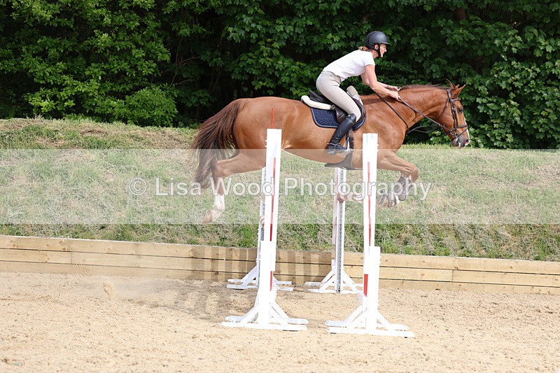 3E7A7772 - Class 8: Senior Foxhunter/1.20 open