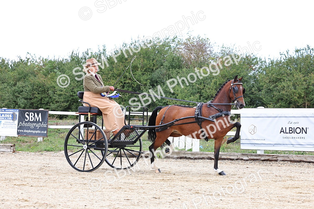 SBM_000343 - Class 2 - Exercise Vehicle 13.2hh & Under