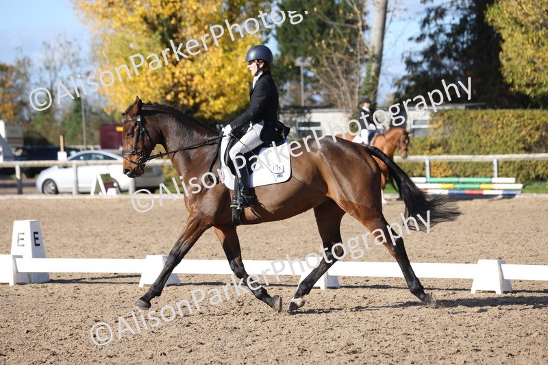 20251102-0865 - Class 5 - Elementary 5