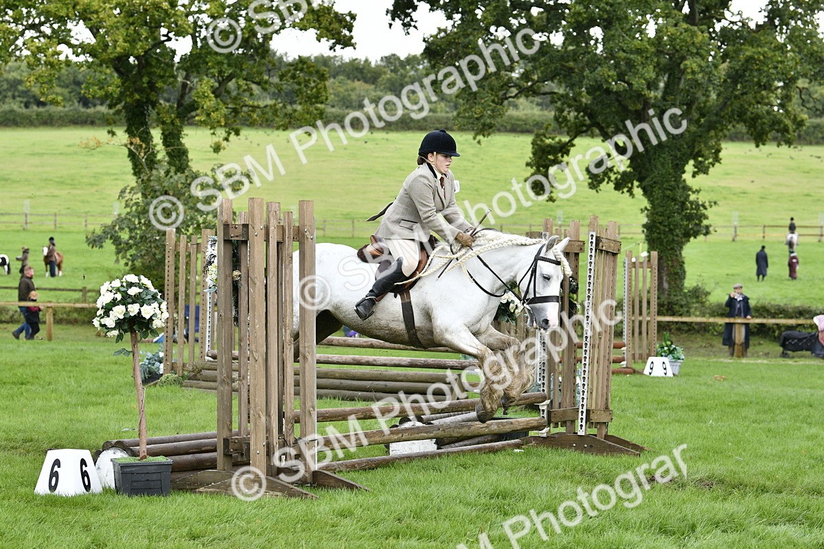 SBM_41540 - S32 - Mountain & Moorland Working Hunter Pony