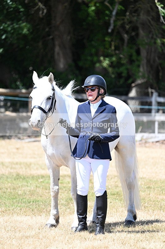 WJ7_2341 - Class 5a Most Handsome Gelding in hand (above 14.2hh)