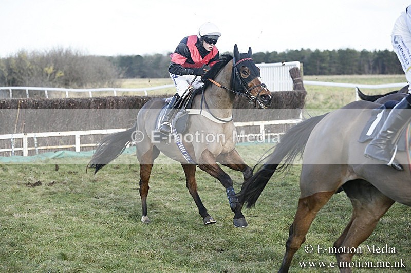 PtP 070118 -179 - Larkhill Racing Club Point to Point Larkhill 07/01/2018