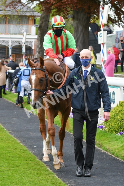 yr14052021r7-36 - Race 7 4.50pm Irish Thoroughbred Marketing Stakes