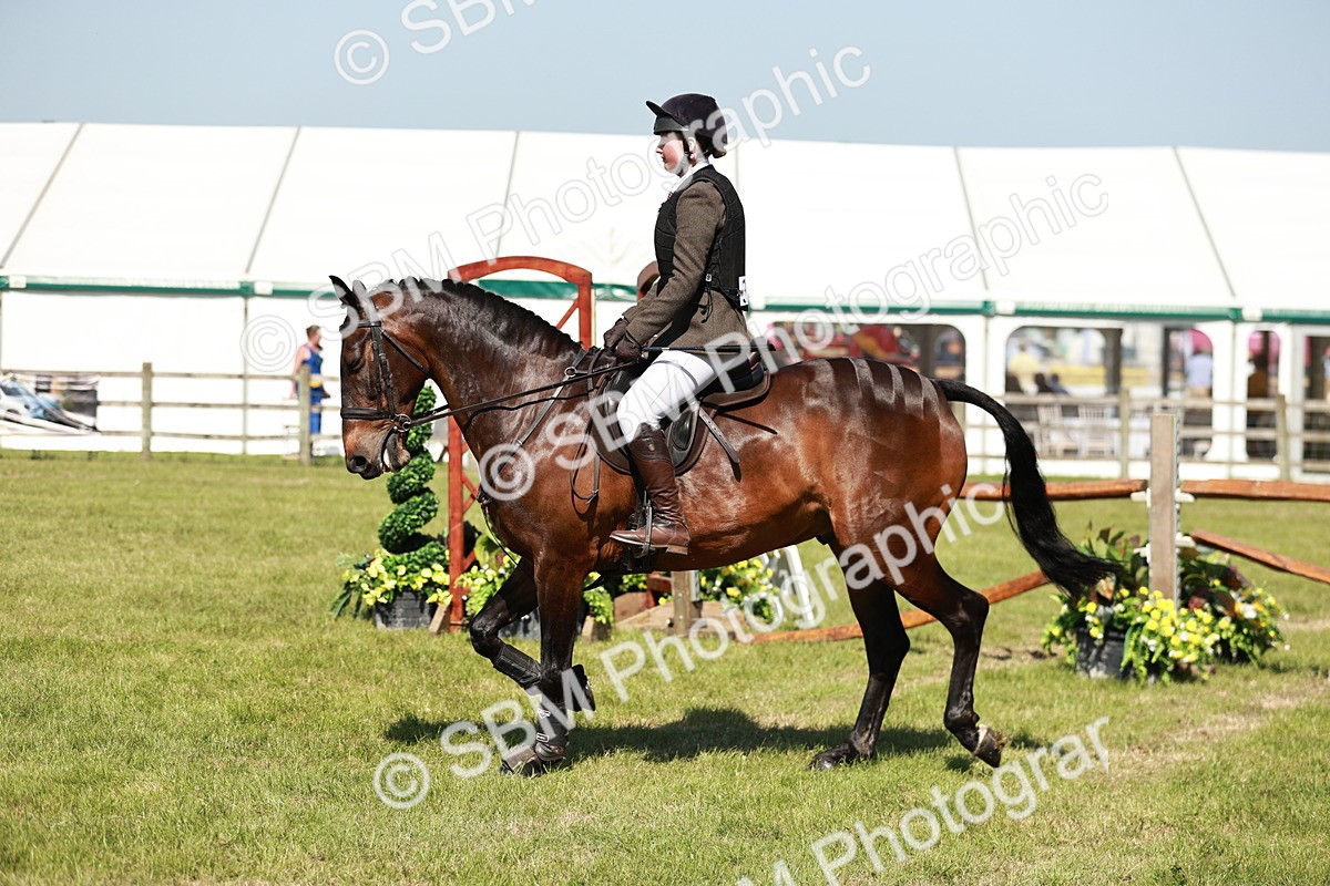 SBM_18415 - Class 112-113 - BSPS LIHS Working Sports Pony