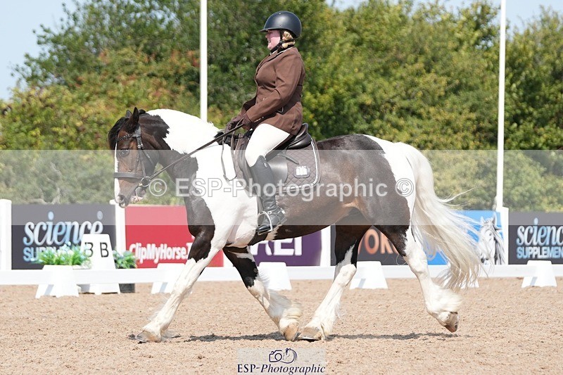 250817-122000-09291 - 185-Hermione.PerryNewoak.Roc.Bay