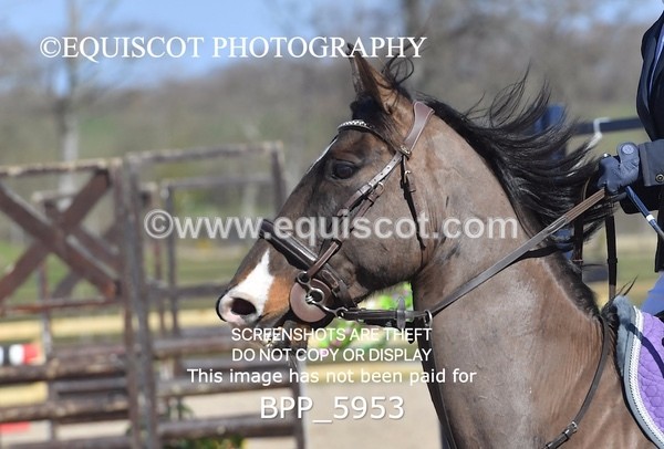 BPP_5953 - CLASS 4 SAt Blue Chip Pony Newcomers/ 1m Open