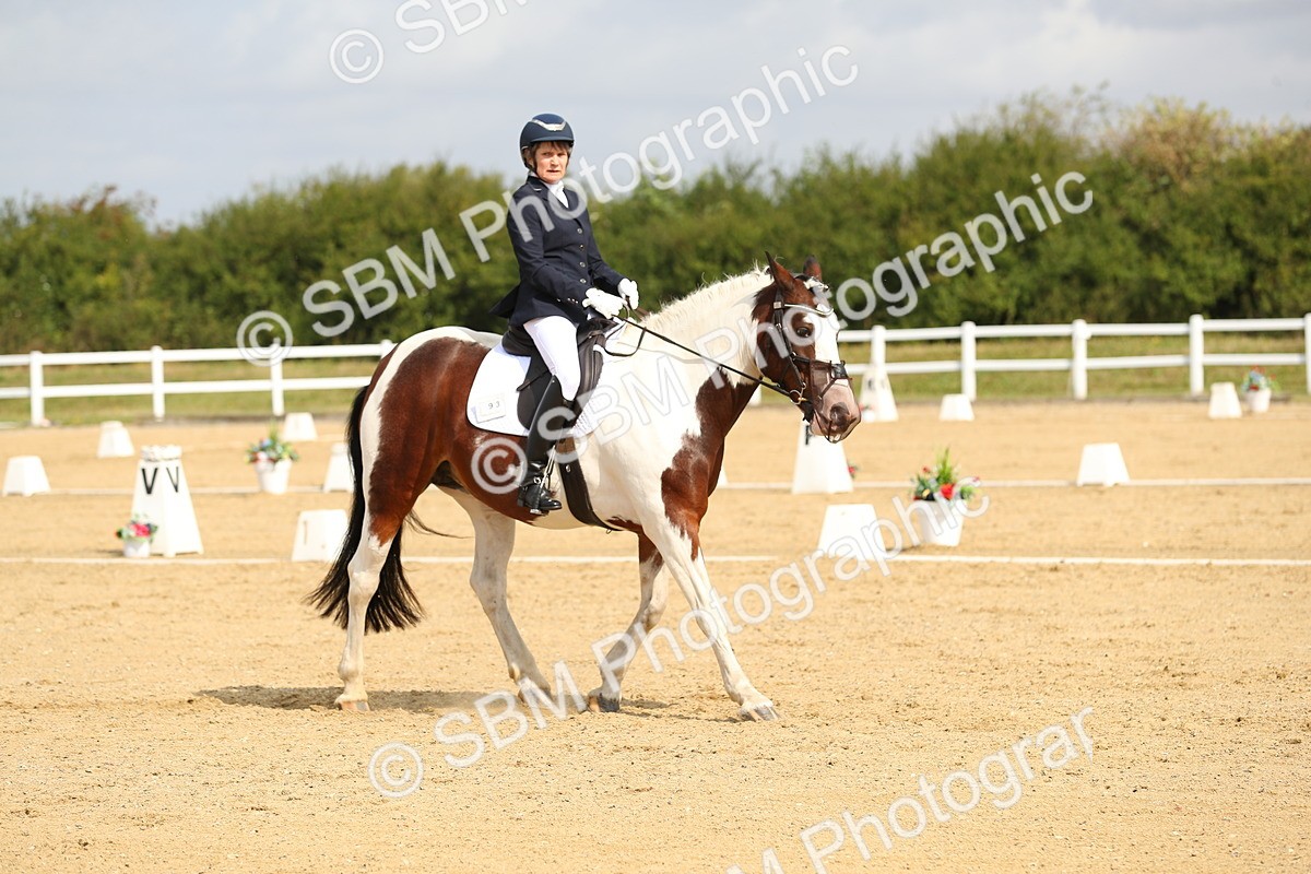 SBM_015696 - Class 13 - Novice 23 - 9.54-11.04