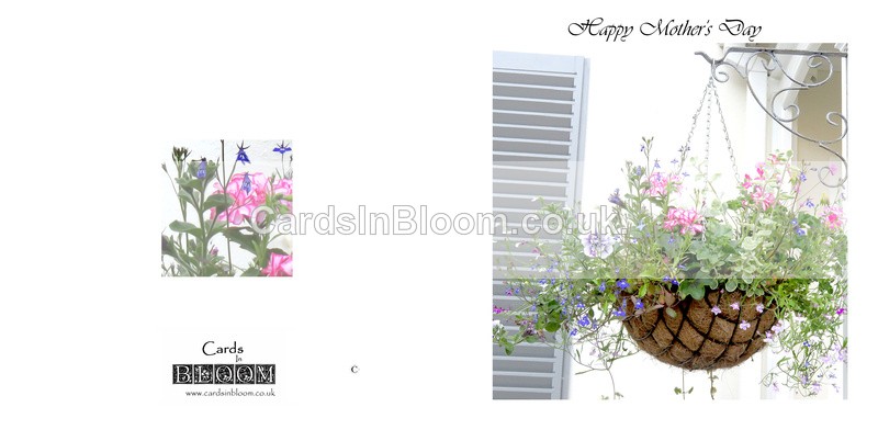 703 Hanging Basket - Mother's Day