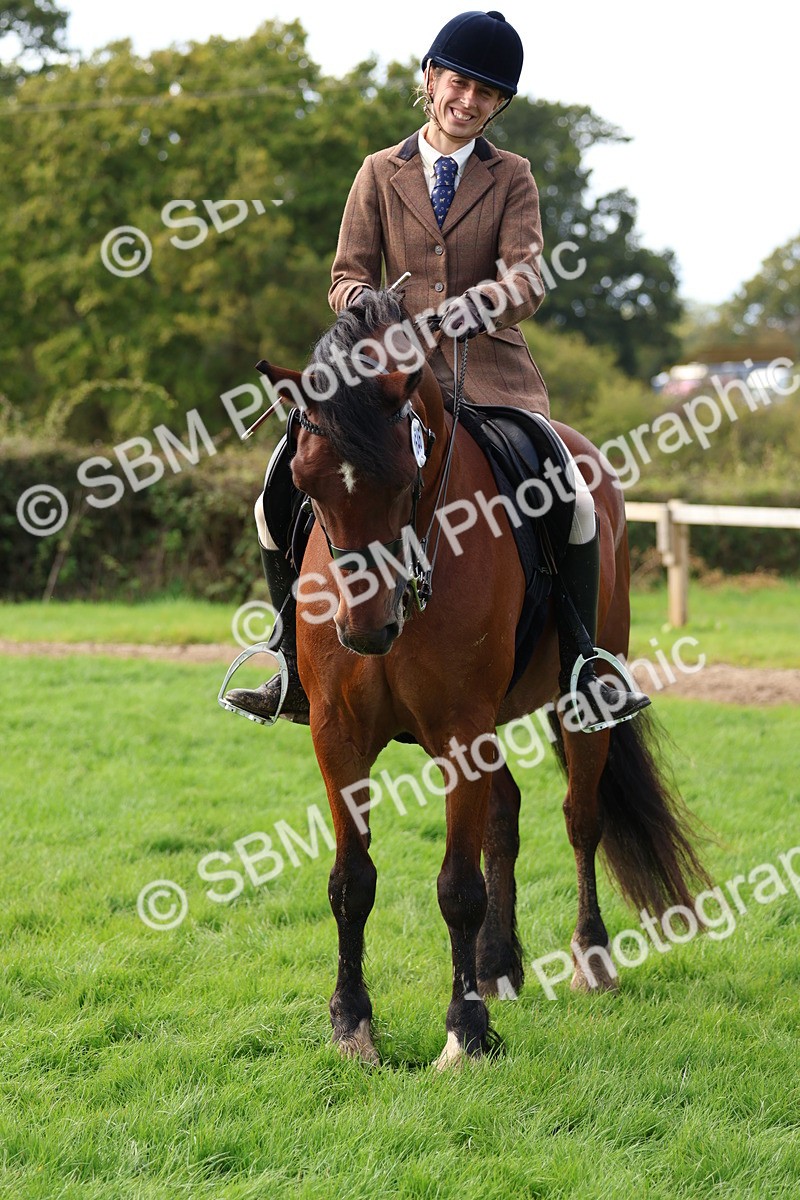 SBM_47788 - S28 - Veteran Ridden