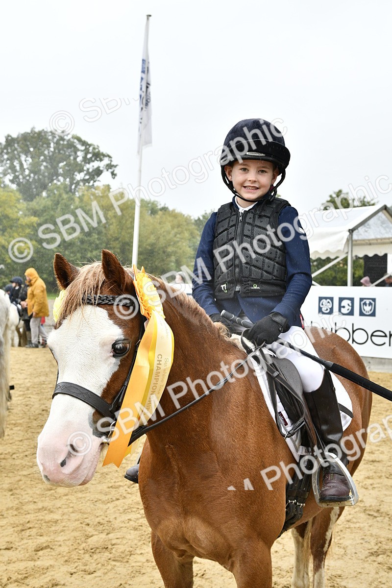SBM_71046 - J3 - Mini Tour Junior Pony 40cm championship
