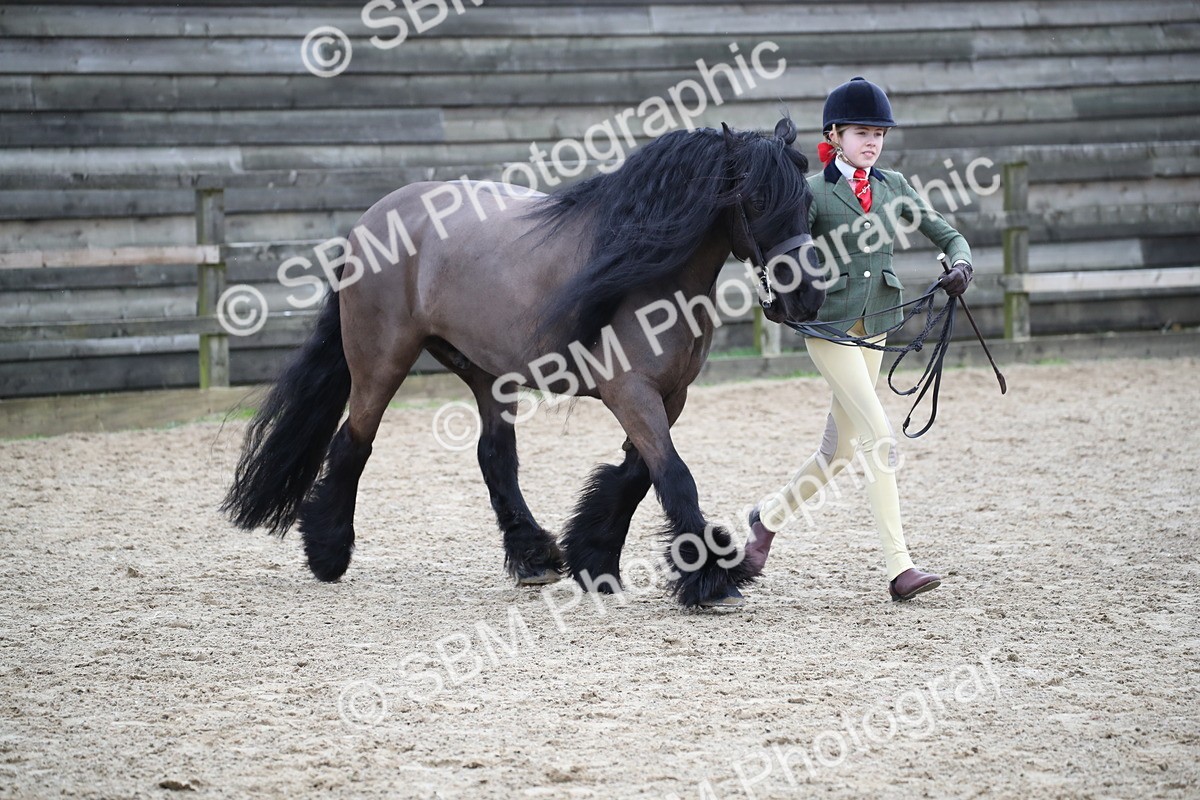 SBM_006412 - Class 10-13 - RIHS Small Large Breeds