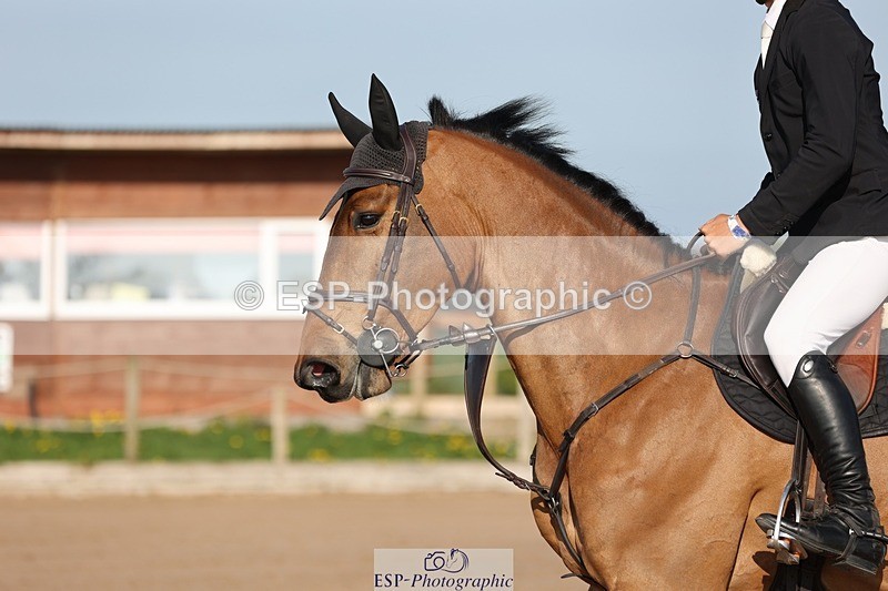 250427-083726-14564 - Cls 28 Young Horse 5yr old