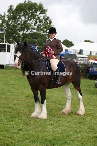 LS__0567 - Horses