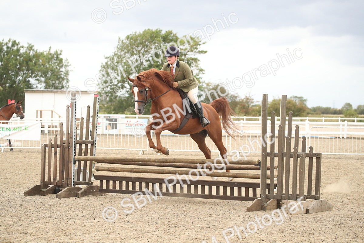 SBM_18376 - Class 509B - Working Veteran - 80cm (20+)