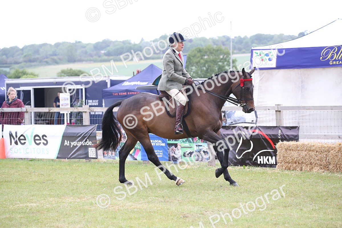 SBM_11417 - Class 94 - LIHS BSHA Racehorse to Showhorse