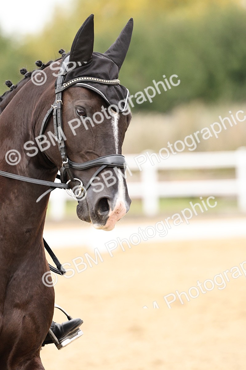 SBM_019699 - Class 18 - Elementary 5