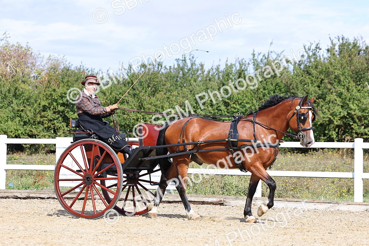 SBM_000857 - Class 8 - Novice Horse or Pony to any vehicle