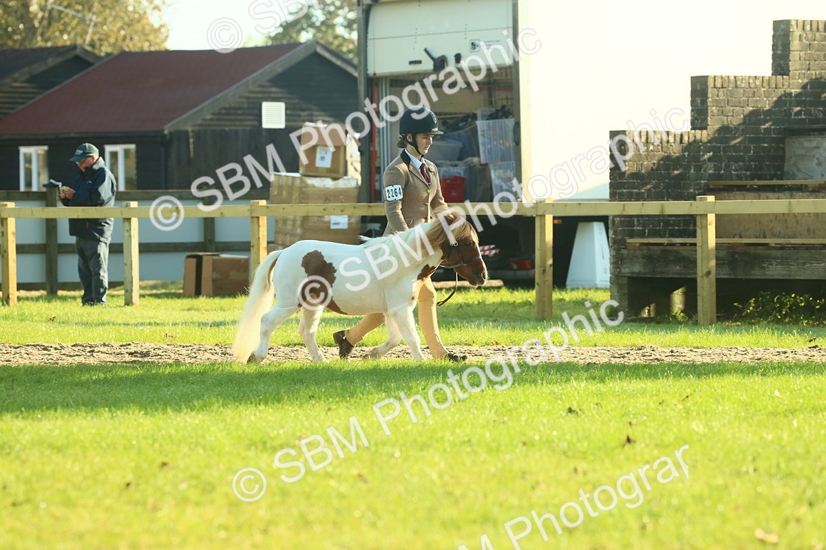 SBM_58542 - S37 - Starters In Hand Showing