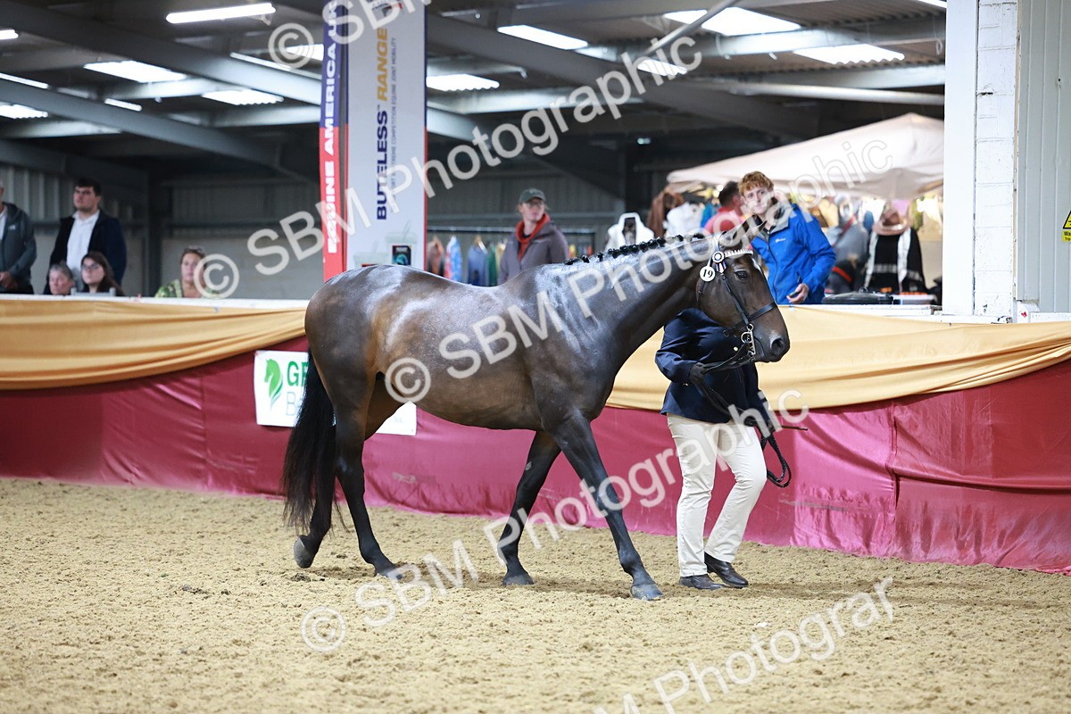 SBM_20091 - Class C - Novalty Champ