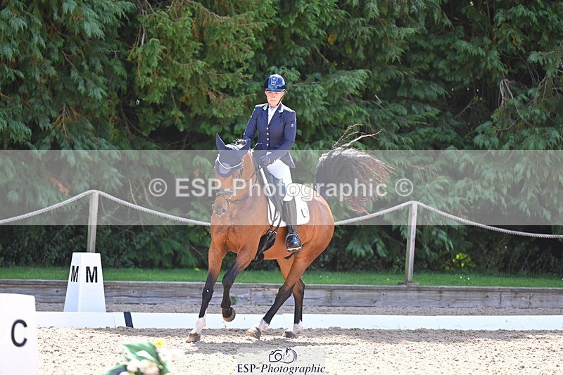 240809-111542-00540 - 133-Dawn.Bear-First.Taylor.Made