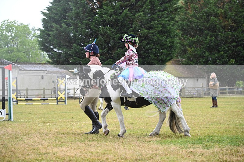 WJ6_9207 - Class 11 Fancy Dress