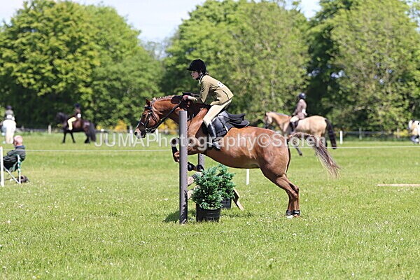 IMG_3628 - Working Hunter