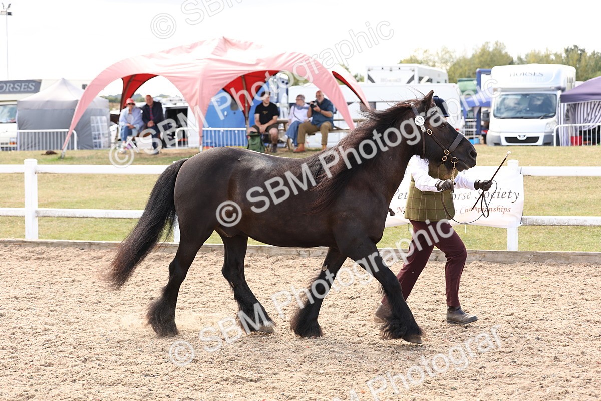 SBM_15082 - Class 209 - IH Veteran Pony