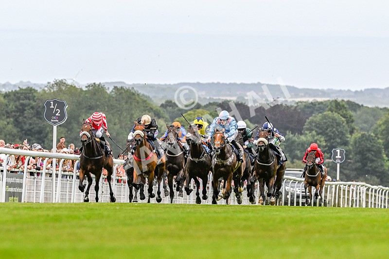 140824-Race 1-Lord Roxby-3382 - Race 1