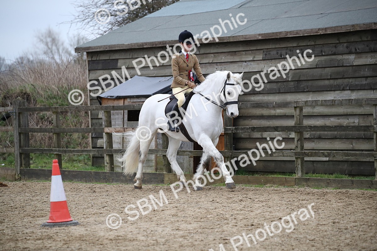 SBM_007315 - Class 10-13 - RIHS Small Large Breeds