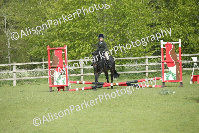20260426-0001 - Class 13 - Rookie Jumping 50cm