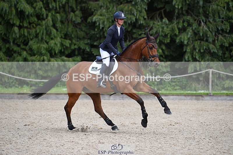 230528-154252-19169 - 177-ARGENTINO_BK-Dani_Evans-SUNTrotUp+SJ