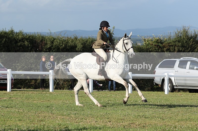 JPP_3480 - Class 22: Working Hunter 90cm