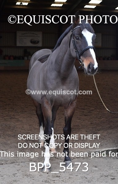 BPP_5473 - Morag Johnston