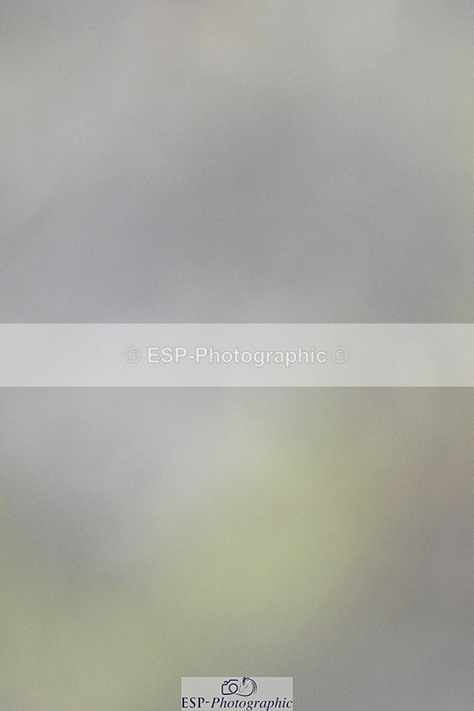 250831A-122520-10028 - Cls 36 Snr 1.30m Grand Prix