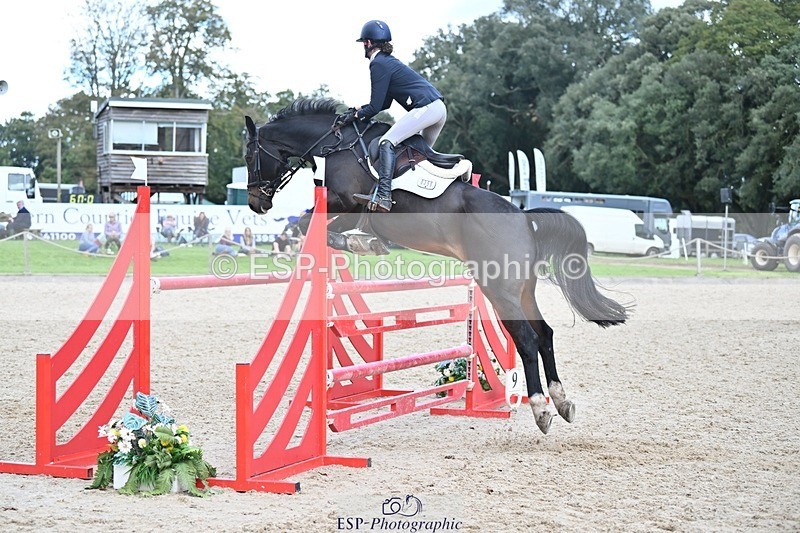 231022-132317-27032 - 358-ROYALE.MESSENGER-Anna.Singer-SJ