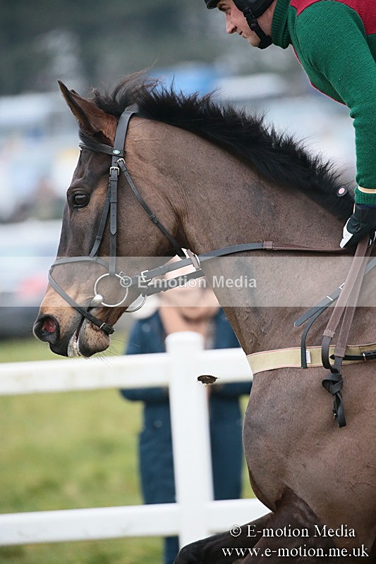 PtP 170219 -398 - Combined Services Point-To-Point Larkhill 17/02/19