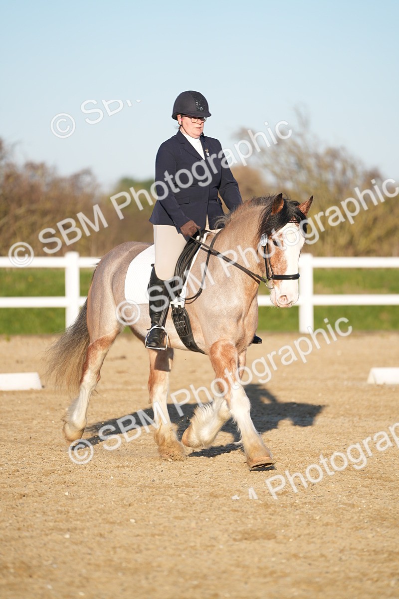 SBM_005799 - Class 6 - E1-80cm