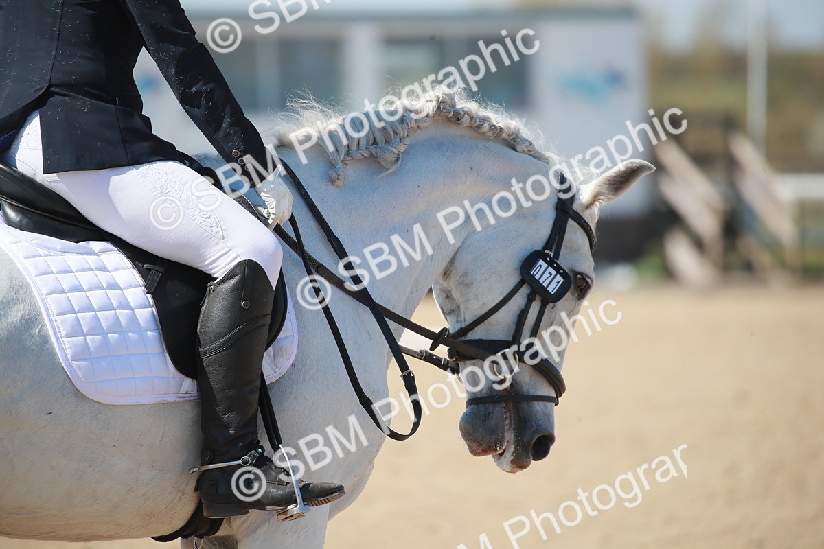 SJ3_0957 - Class 2-5-4-6-7 - Paso Doble-Golega-Sevilla-Lisboa-Novato