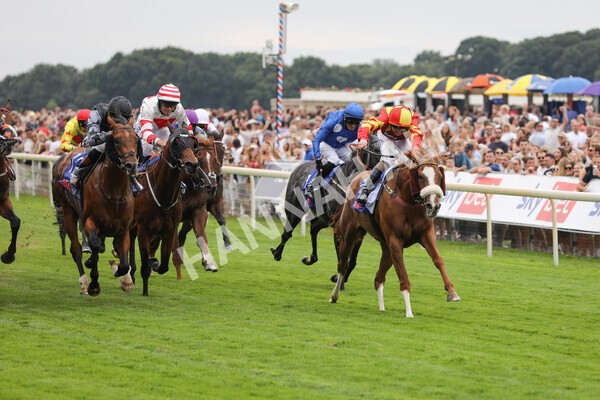 yr23072022r2-24 - Race 2 2.40pm Sky Bet Dash