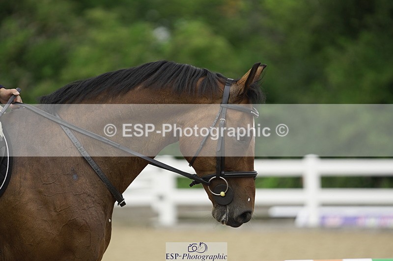 230728A-123214-01849 - Cls 9 85cm Amateur Quali