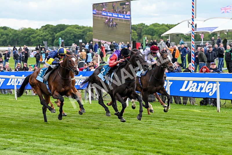 150526-Race 7-Portcullis-8739 - Race 7 5.15pm Darley EBF 'Confined' Novice Stakes