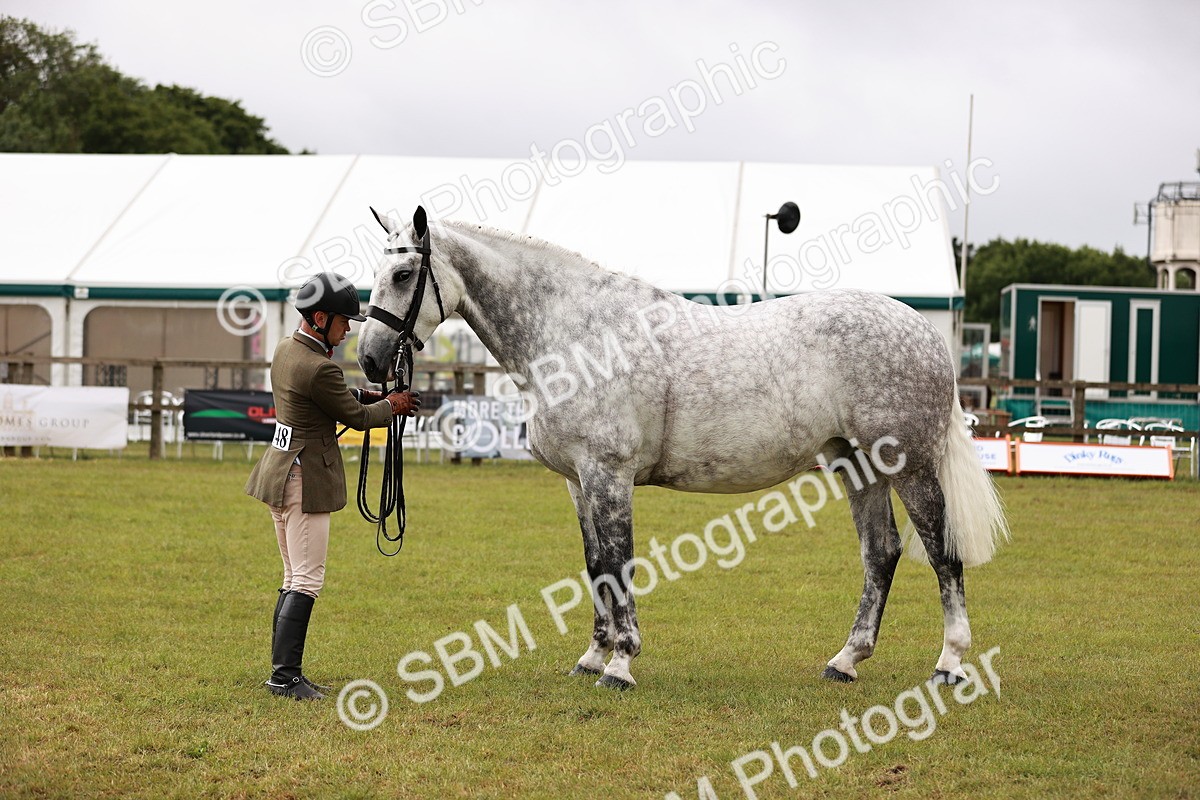 SBM_10945 - Class 81-84 - RIHS Ridden hunters Inc Ladies Hunter