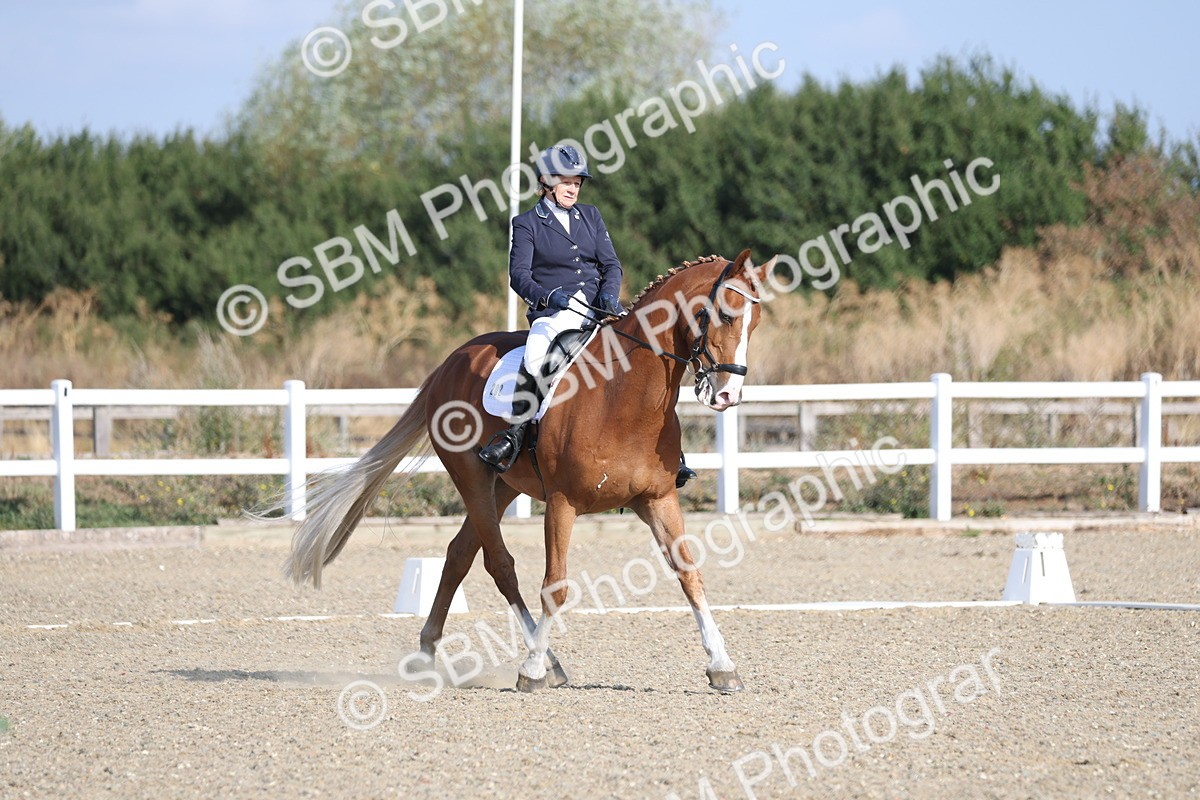 SBM_020214 - Class 21 - M5 Bronze 9.30.10.34