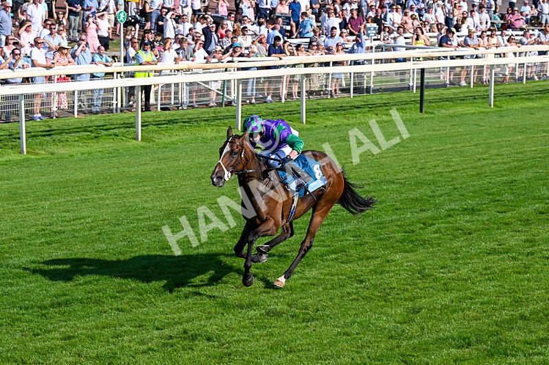 100726-Race 7-Green Sky-0484 - Race 7 17.40pm William Hill Best Odds Guaranteed Apprentice Handicap