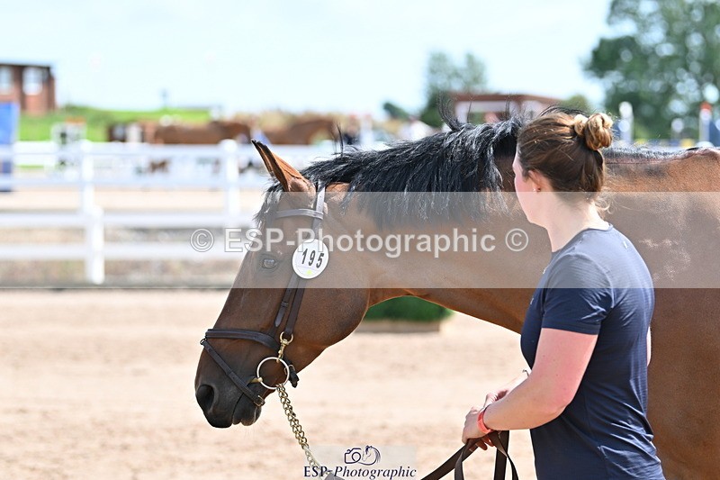 240717A-150442-02519 - Trot Up 3pm to 4pm