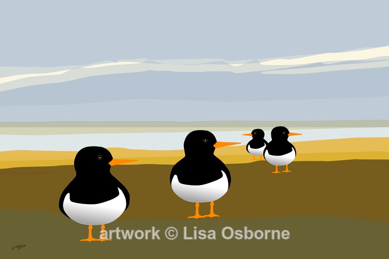 Oystercatchers - DIGITAL ARTWORK
