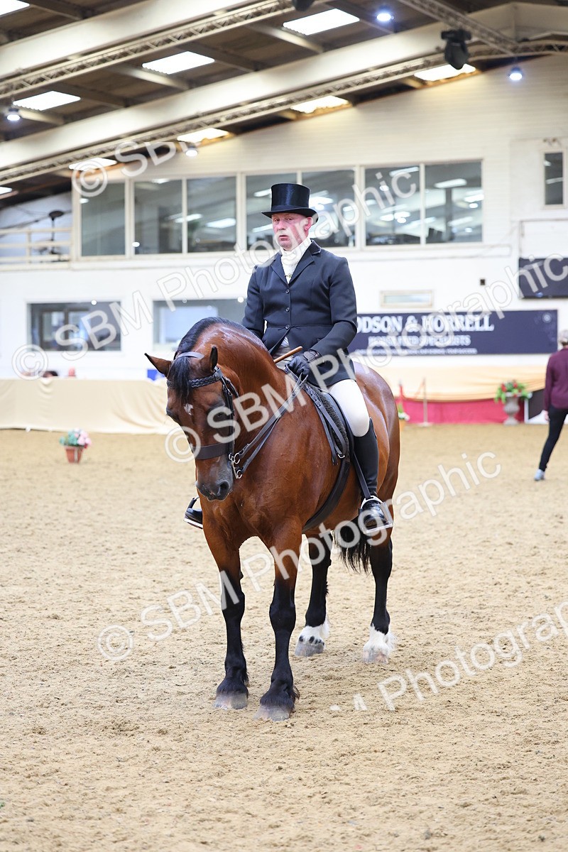 SBM_24434 - Class 906 - Supreme Final - Ridden Pre Vet