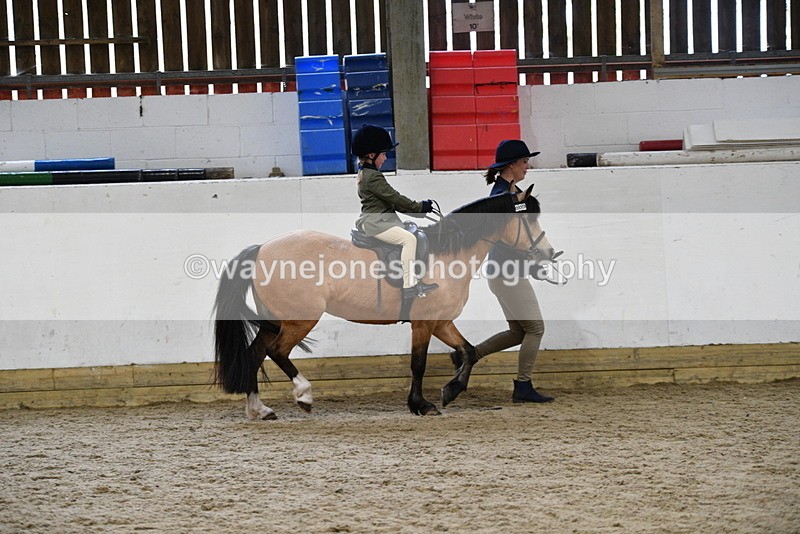 WJ5_6555 - Class 10 Childs Pony
